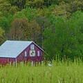 Corn and Beans by Kathi Isserman