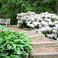 Cornell Botanic Gardens #7 Photograph by Mindy Musick King Cornell Botanic Gardens #7 Photograph by Mindy Musick King
