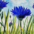 Cornflowers Painting by Shady Lane Studios-Karen Howard Cornflowers Painting by Shady Lane Studios-Karen Howard