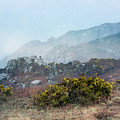Cornish Cliff Landscape by Jean Gill