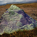 Cotopaxi Volcano, Ecuador, Photograph by David Little-Smith Cotopaxi Volcano, Ecuador, Photograph by David Little-Smith