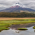 Cotopaxi volcano with his reflection in a pond by Henri Leduc