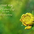 Count Your Miracles Photograph by Cathy Kovarik Count Your Miracles Photograph by Cathy Kovarik