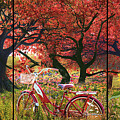 Country Bicycle Photograph by Debra and Dave Vanderlaan Country Bicycle Photograph by Debra and Dave Vanderlaan