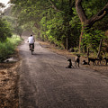 Country Road Photograph by Craig Boehman Country Road Photograph by Craig Boehman