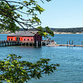 Coupeville Wharf with New Paint by Tom Cochran