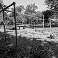 COVID-19 Lost Park Photograph by Britten Adams COVID-19 Lost Park Photograph by Britten Adams