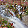 Coward's Hollow Shut-ins I Photograph by Robert Charity Coward's Hollow Shut-ins I Photograph by Robert Charity