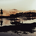 Cowboy Herding Wild Horses Photograph by Printed View