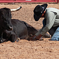 Cowboy steer friends Photograph by Kelly Markus