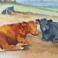 Cows Resting by Jindra Noewi