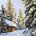 Cozy Cabin Photograph by Nicola Finch Cozy Cabin Photograph by Nicola Finch
