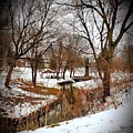 Cozy winter land Photograph by Shalane Poole Cozy winter land Photograph by Shalane Poole