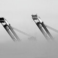  Got Crane Fog by Joe Schofield