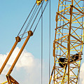 Crane Photograph by John Linnemeyer Crane Photograph by John Linnemeyer