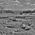 Creek and Flying Swallows in Black and White Photograph by Amanda R Wright Creek and Flying Swallows in Black and White Photograph by Amanda R Wright