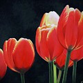 Crimson Affinity Painting by Kim McClinton Crimson Affinity Painting by Kim McClinton