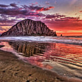 Crimson Sunset by Beth Sargent