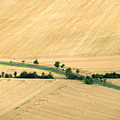 Crossroads in Golden Field by Keiko Richter