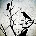 Crow Birds on Tree Bird 91 Digital Art by Lucie Dumas Crow Birds on Tree Bird 91 Digital Art by Lucie Dumas