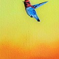Cuban Bumblebee Hummingbird Painting by Dana Newman Cuban Bumblebee Hummingbird Painting by Dana Newman