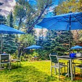 Cuchara Yacht Club Lawn Photograph by Debra Martz Cuchara Yacht Club Lawn Photograph by Debra Martz