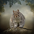 Curious Sam by Maggy Pease