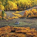 Current Creek Cabin by Dustin LeFevre