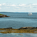 Curtis Island Lighthouse Panorama Photograph by Douglas Wielfaert