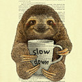 Cute baby sloth with coffee mug Slow down quote Digital Art by Madame Memento Cute baby sloth with coffee mug Slow down quote Digital Art by Madame Memento