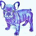 Da Ba Dee Digital Art by Denise Railey Da Ba Dee Digital Art by Denise Railey