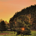 Dad's Sunburst Photograph by Dale Kauzlaric Dad's Sunburst Photograph by Dale Kauzlaric