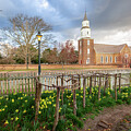 Daffodils and Storm Clouds at Bruton Parish Church by Rachel Morrison
