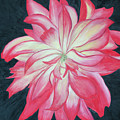 Dahlia Explosion Painting by Laurel Best Dahlia Explosion Painting by Laurel Best
