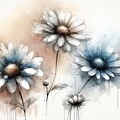 Daisies  by Toni Somes