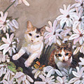 Daisy Cats by Renee Catherine Wittmann