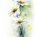 Daisy Chain Painting by Stephie Butler Daisy Chain Painting by Stephie Butler