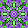 Dance of the Iris Ensata by Brian Gryphon