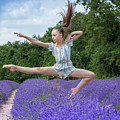 Dance on the lavender Photograph by Andrew Lalchan Dance on the lavender Photograph by Andrew Lalchan