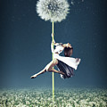 Dandelion Dancer by Mihaela Pater Dandelion Dancer by Mihaela Pater