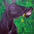 Dandi 24 x 24  by Cheryl Nancy Ann Gordon