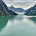Dawe's Glacier Approach by Cricket Hackmann