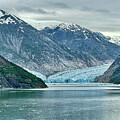 Dawe's Glacier Blue Ice by Cricket Hackmann
