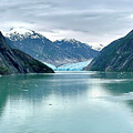 Dawe's Glacier by Cricket Hackmann