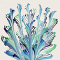 Day Bouquet by Lucy Arnold