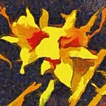 Daylilies at Night Mixed Media by Christopher Reed Daylilies at Night Mixed Media by Christopher Reed
