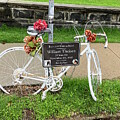 Death of a Bicyclist by Christopher Shellhammer
