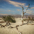 Death Valley 02 by Will Wagner
