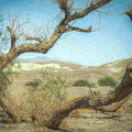 Death Valley 03 by Will Wagner