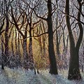 December Glow by Lisa Bliss Rush